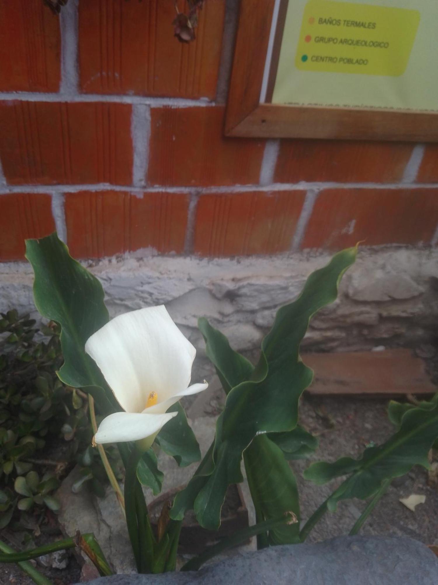 Hostal Raymi Ollantaytambo Exterior foto